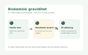 Overblik over positiv graviditetstest, senere negativ test og næste skridt ved mulig biokemisk graviditet
