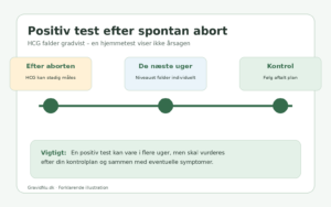 Tidslinje for faldende hCG og positiv graviditetstest efter spontan abort