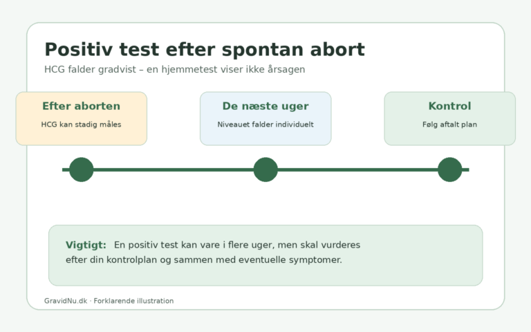Tidslinje for faldende hCG og positiv graviditetstest efter spontan abort