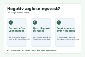 Tre næste skridt ved negativ ægløsningstest: fortsæt testning, tjek tidspunkt og væske, og vurder mønstret over flere dage