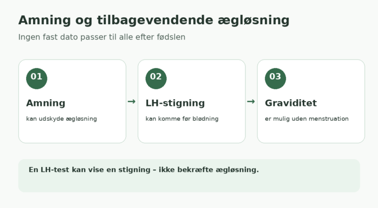Amning kan udskyde ægløsning, men LH kan stige før den første menstruation