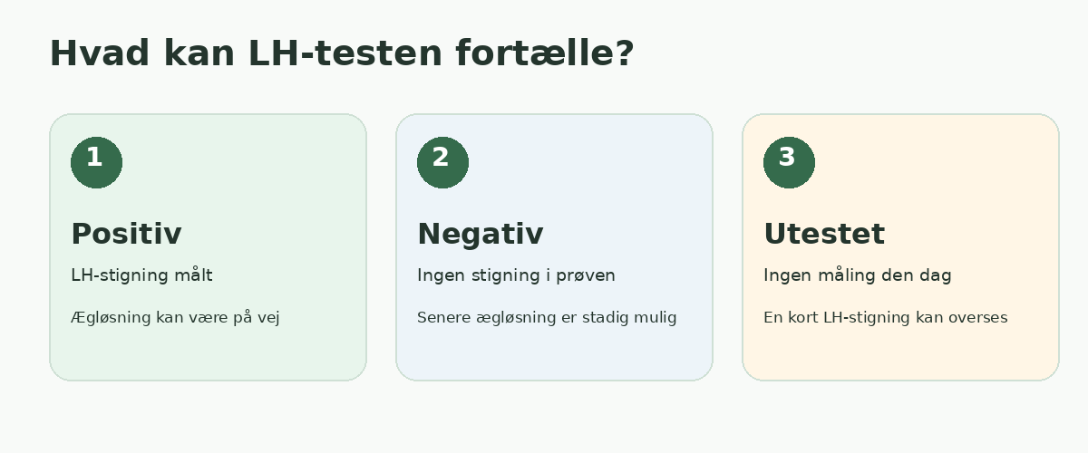 Tre mulige LH-testresultater under amning: positivt, negativt og ikke testet på rette tidspunkt