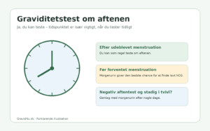 Guide til graviditetstest om aftenen og om morgenen