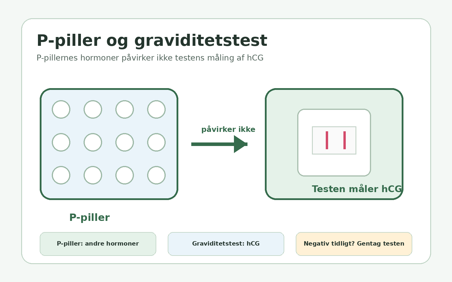 P-piller påvirker ikke hormonet hCG, som en graviditetstest måler